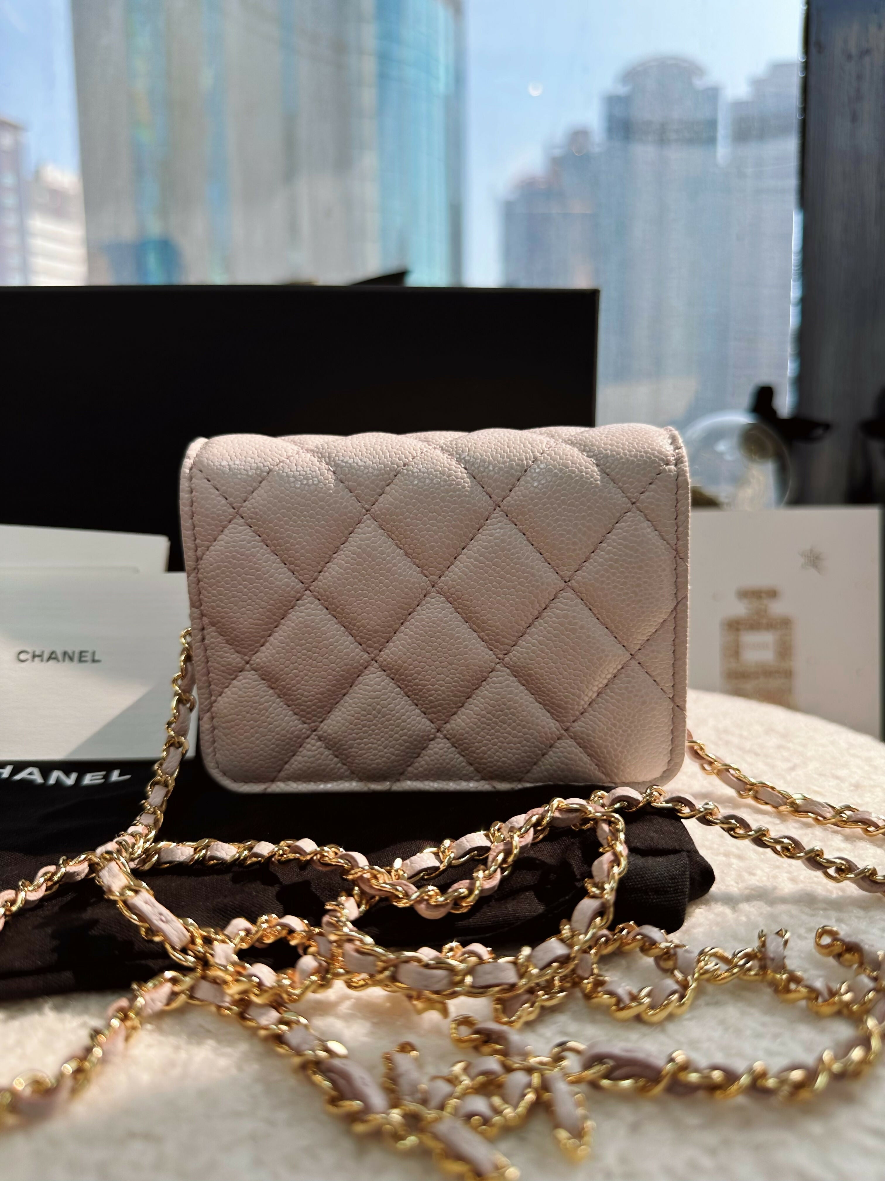 Chanel(21)Small Leather Coco Chain Bag