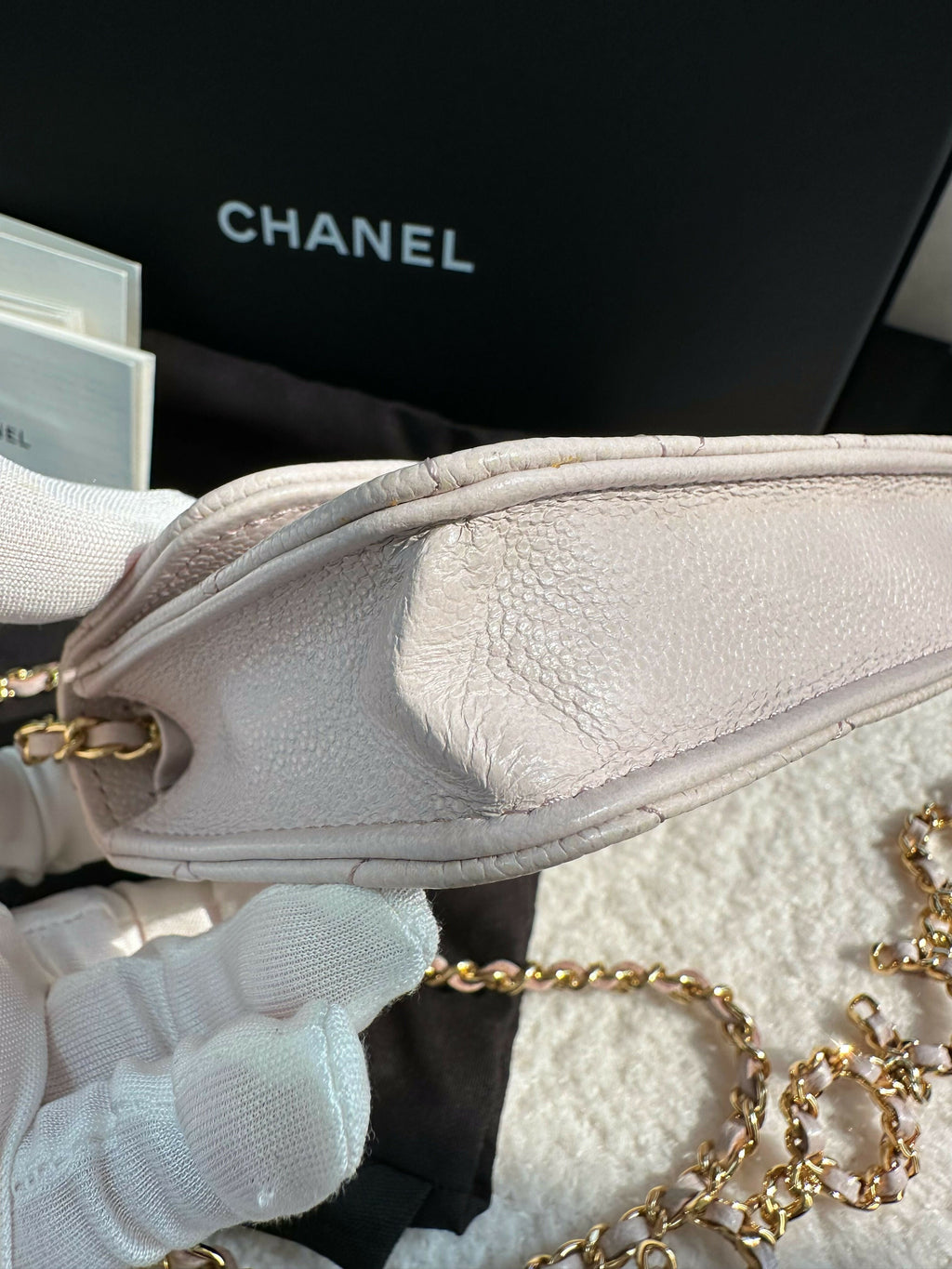 Chanel(21)Small Leather Coco Chain Bag
