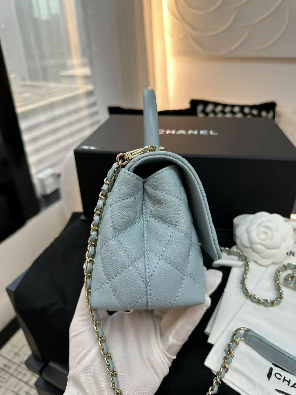 Chanel (22)Coco Handle Mini